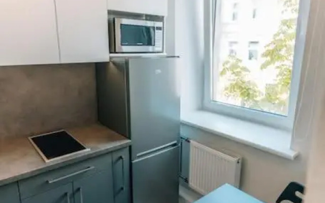 Rigas street cozy apartment, city centre