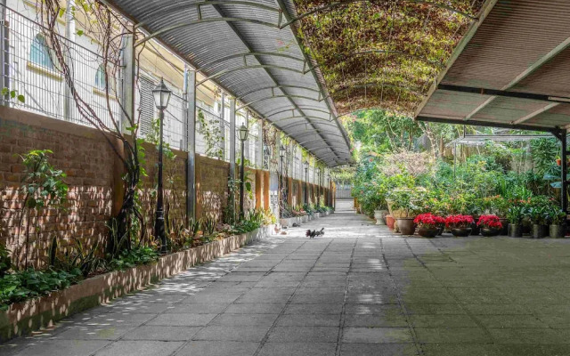 Trang Thanh Apartment