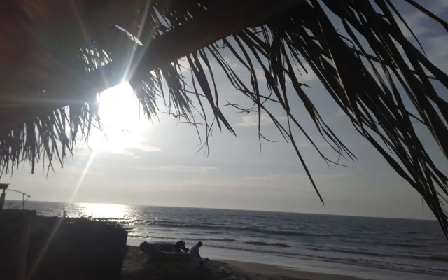 Ocean canoas 178