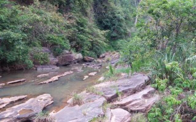 Tea Leaf Retreat Peradeniya