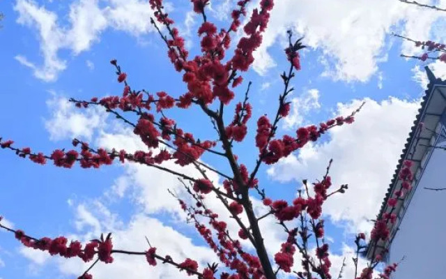 Dali Yuncheng Hotel (Dianxi Medical Center)