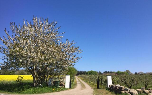 Kastanjegården på Stenshuvud