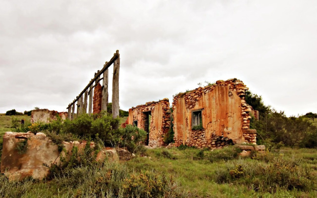 Hlosi Game Lodge - Amakhala Game Reserve
