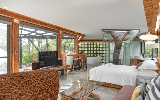 The House 15