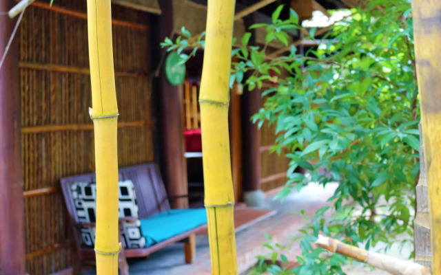 Under the coconut tree - Hostel