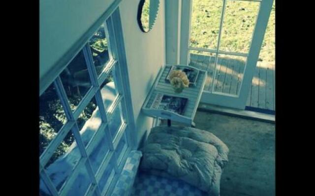 Follow The White Wabbit