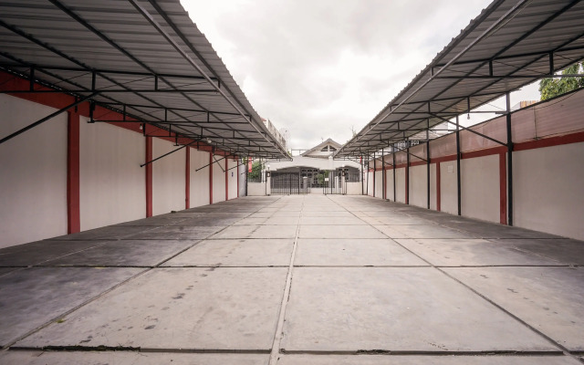 Maleo Kostel Cempaka Putih