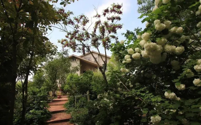 La Casa Nel Bosco