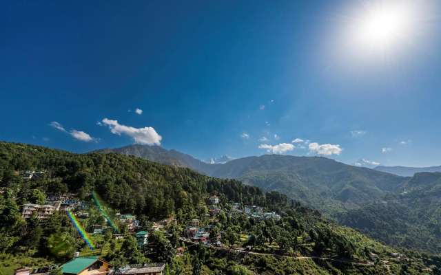 The Bougainvillea, Mcleodganj