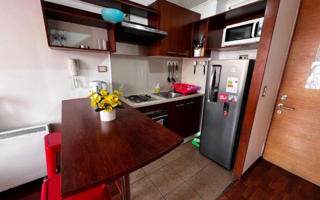 Apartamentos Plaza Bulnes