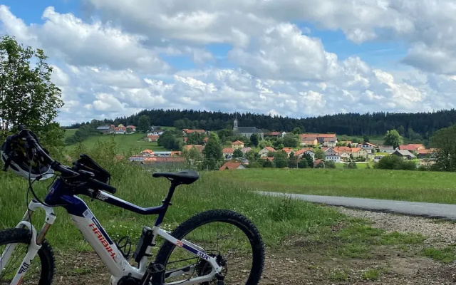Hotel Sonnenhof - Tante ALMA’s Sommerfrische