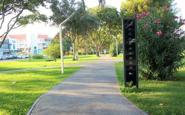 Vilamoura Dolphin Studio