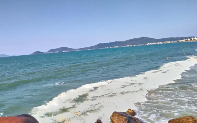 Tartaruga Azul