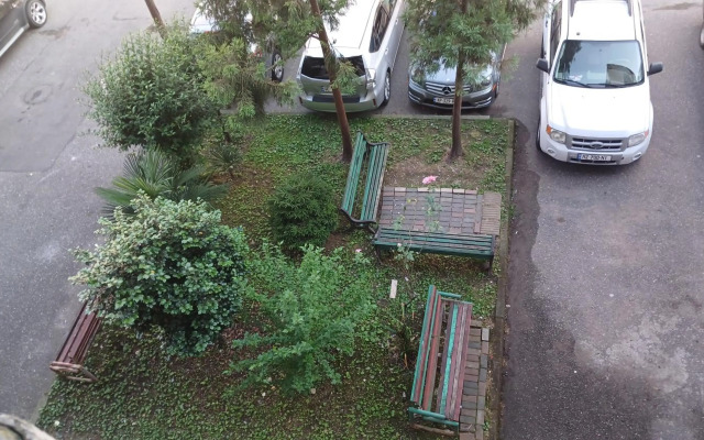 Bright and cozy apartment