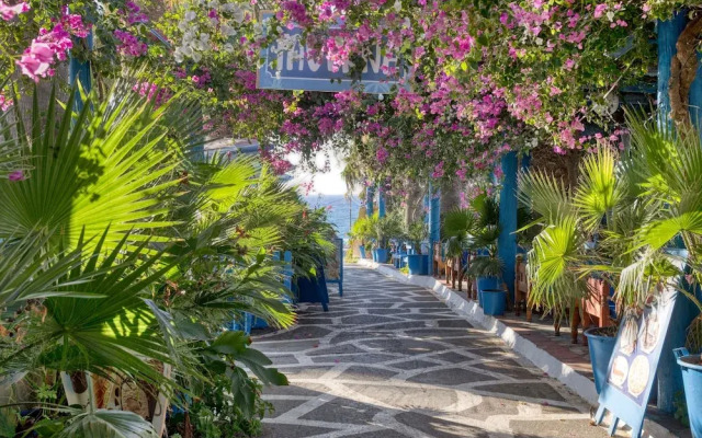 Hotel Palm Bay