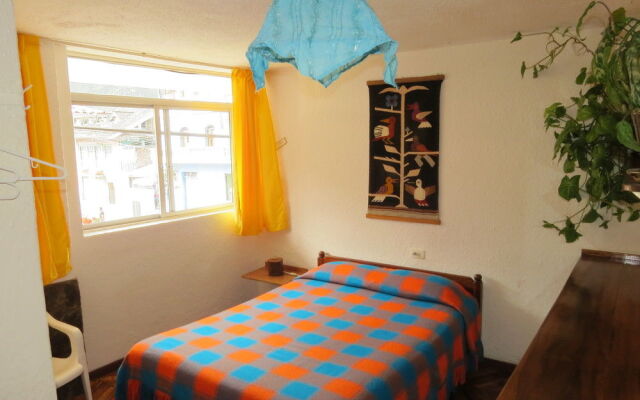 Hostal Plantas y Blanco