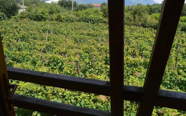 Twins Wine Cellar