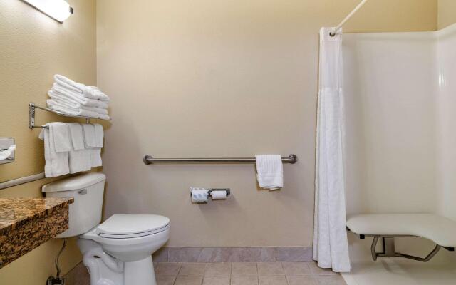 Comfort Inn & Suites Suwanee - Sugarloaf