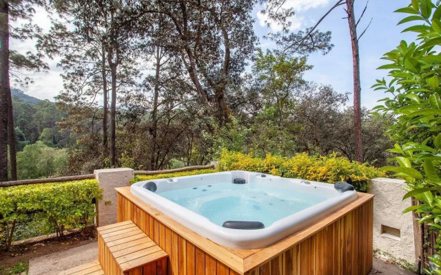 Casa en Medio del Bosque