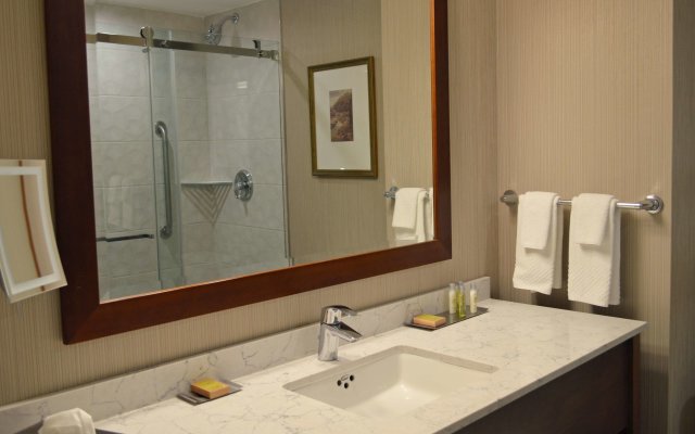 DoubleTree Fallsview Resort & Spa by Hilton Niagara Falls