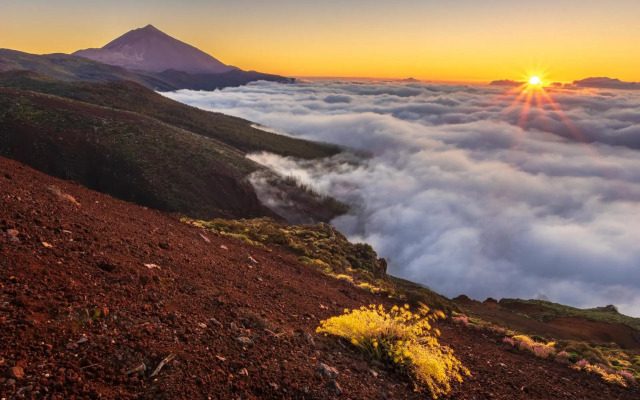 Penthouse Apartment With Ocean View