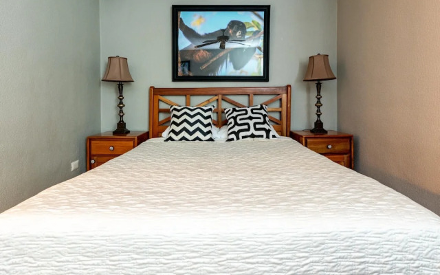 Luxury Ocean-view Flamingo Home Sleeps 10 - Walk to Beach