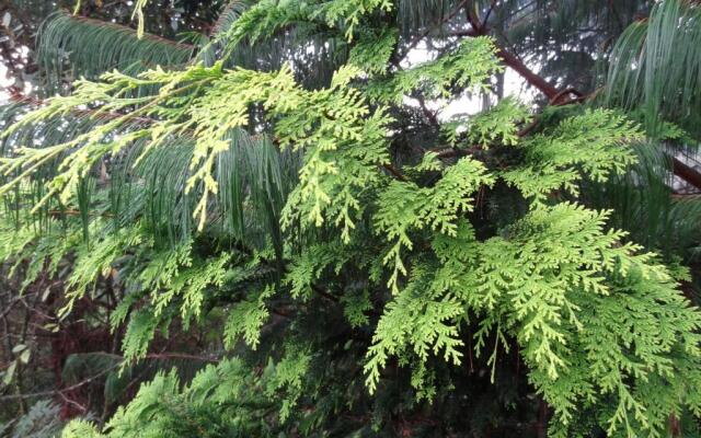 Alive Eco Hut Pousada