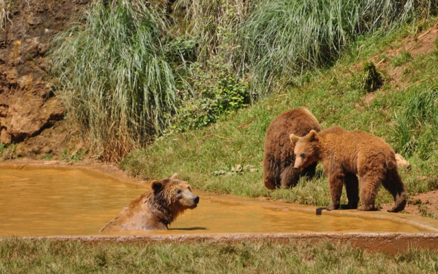Legado de Santillana