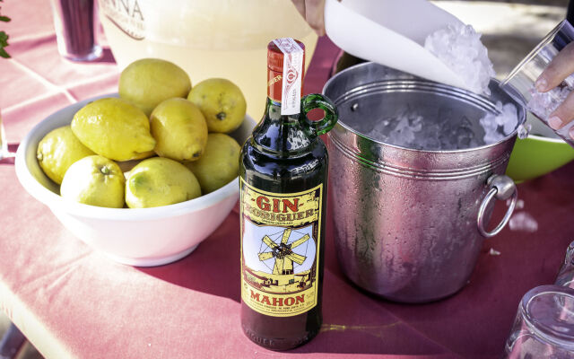 Vibra Caleta Playa Apartamentos