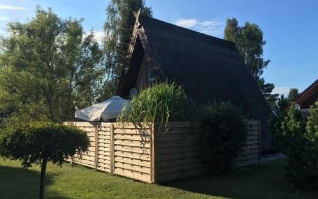 Reetdachhuette im Birkenhain
