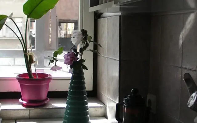 Apartment Dalmatinska