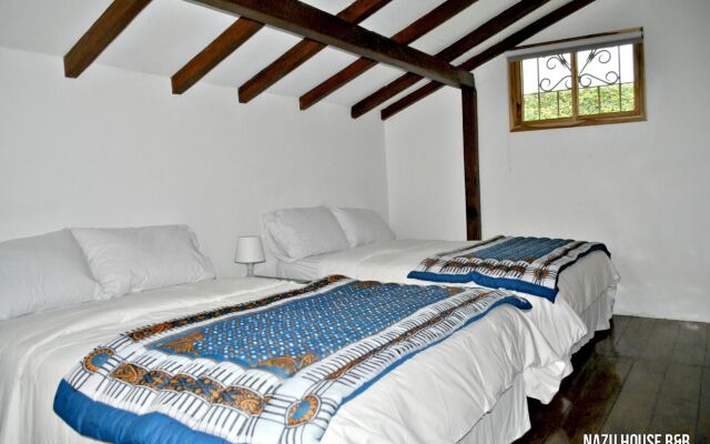 Iguanazu Bed & Breakfast