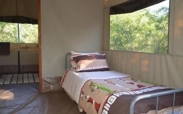 Wild Olive Tree Camp