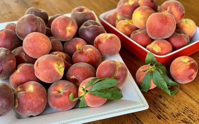 La Casa Toscana - Apt Castello 7 km by the sea