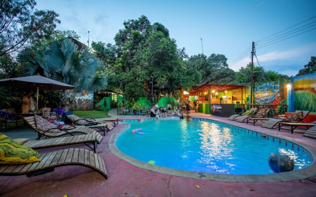 Livingstone Backpackers