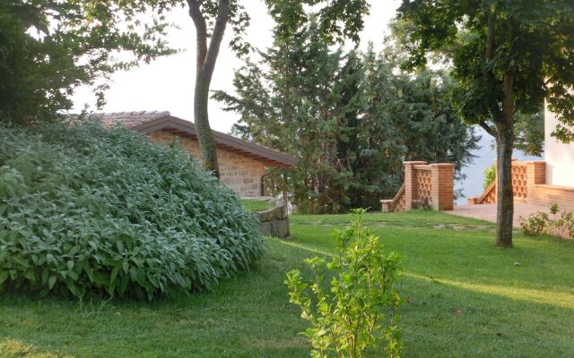 Agriturismo Il Beccafico Alpaca