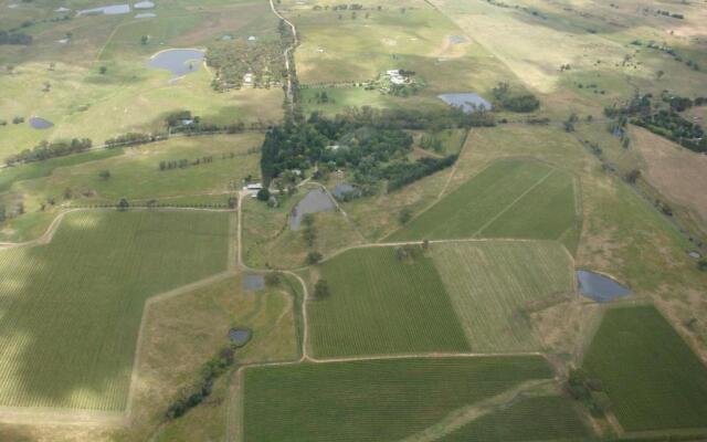 Mayfield Vineyard