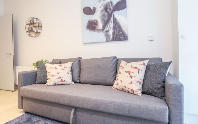 Camden Apartments Belfast