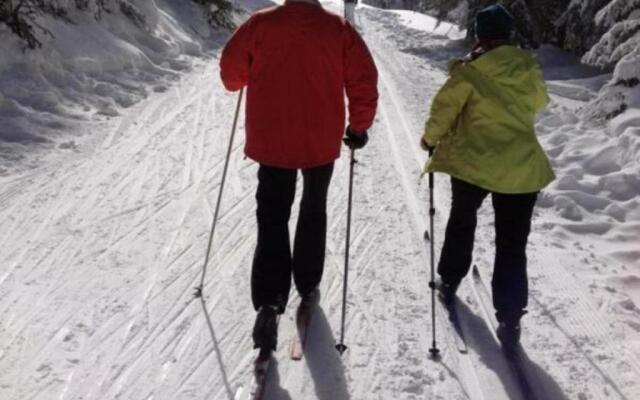 Gîte Le Bessat, 4 pièces, 6 personnes - FR-1-496-24