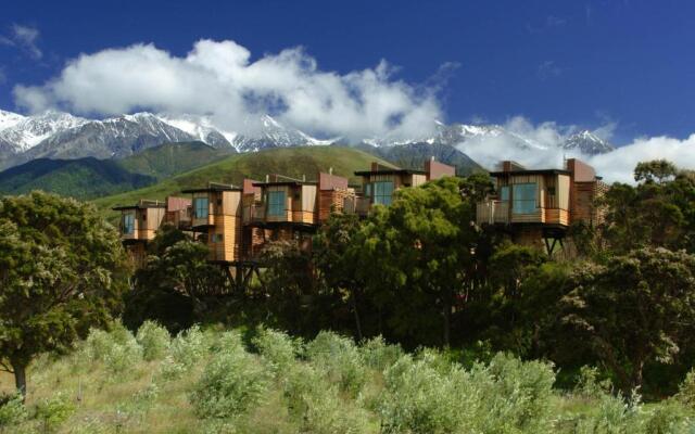 Hapuku Lodge & Tree Houses