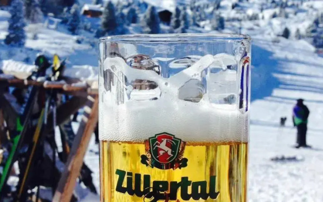 Garconniere in the Alps of Tyrol