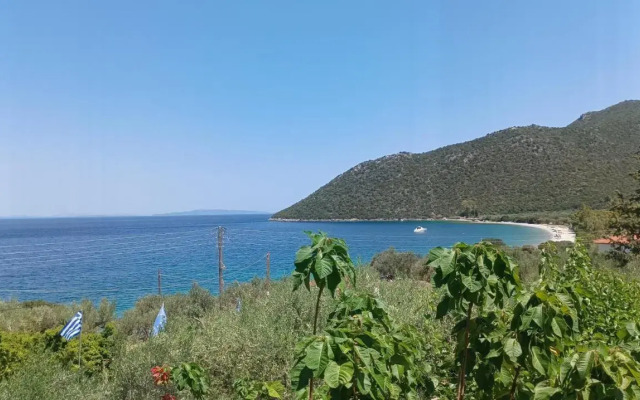 Studios Zaritsi