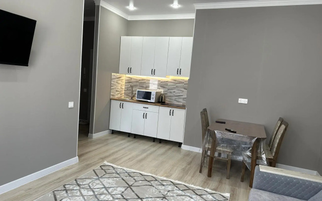 Apartments on 46/4 Turan Avenue