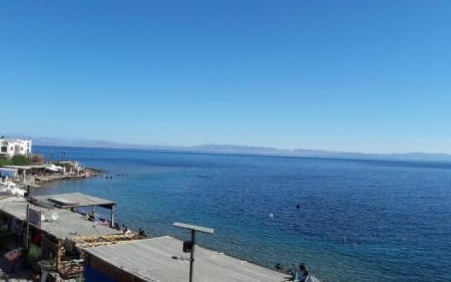 New Yalla Hotel