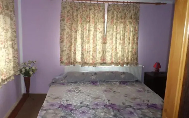 Pietrosu B&b