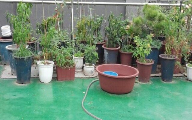 Songwontel Guesthouse