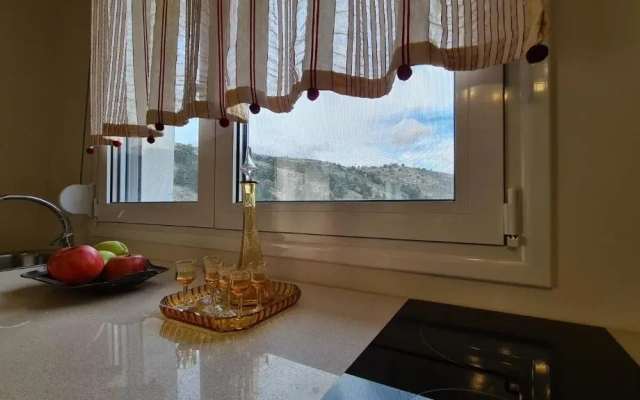 ''Prasini Folia'' Apartments - Studio ''SOHORA''