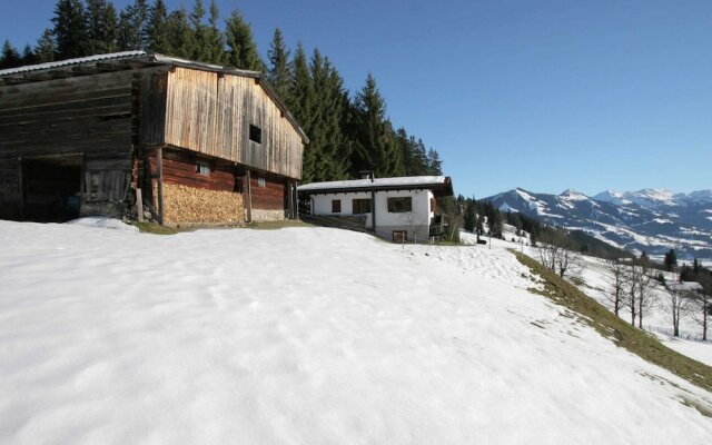 Sunlit Chalet near Ski Area in Hopfgarten im Brixental
