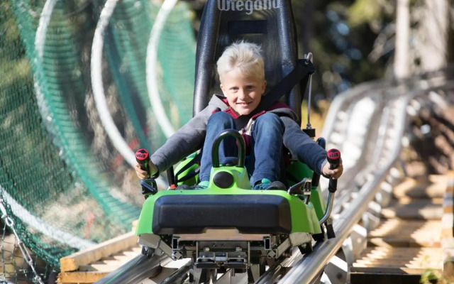 Ferienwohnung Waldblick
