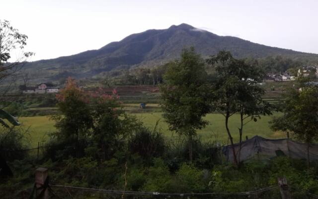 Bungo Bed Breakfast Workation